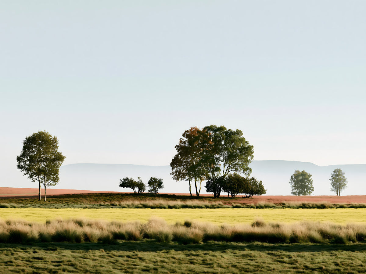 Misty Morning Horizon Landscape Wall Mural in your room — zoomed
