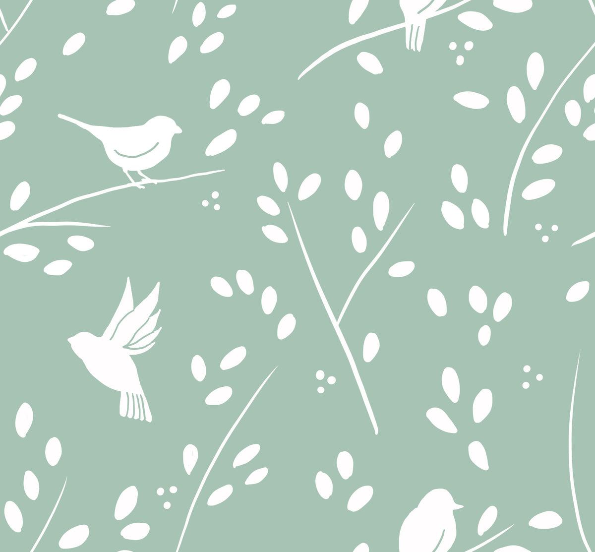 Lush Green Winter Forest Birds Wallpaper⁠ in your room — zoomed