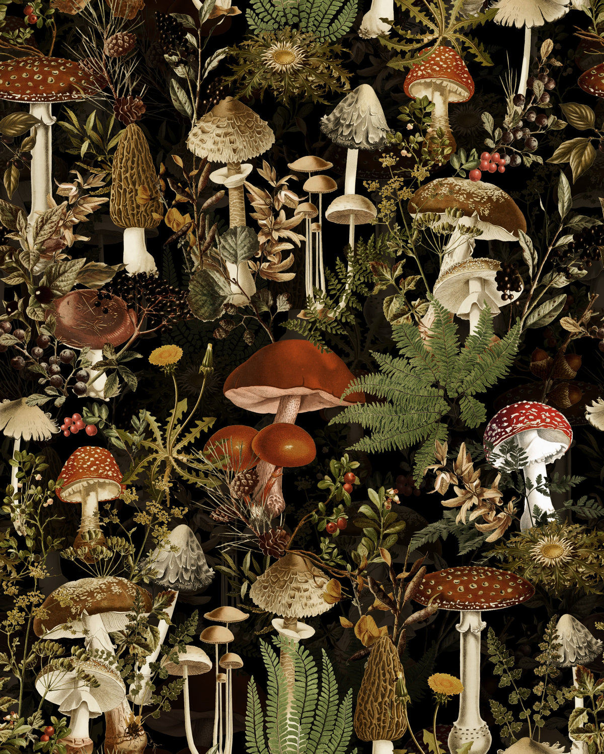 Midnight Forest Mushroom Botanical Wallpaper⁠ in your room — zoomed