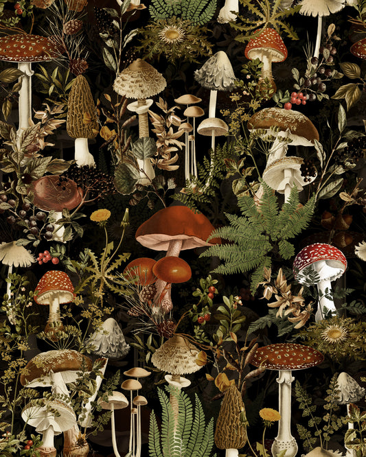 Midnight Forest Mushroom Botanical Wallpaper⁠