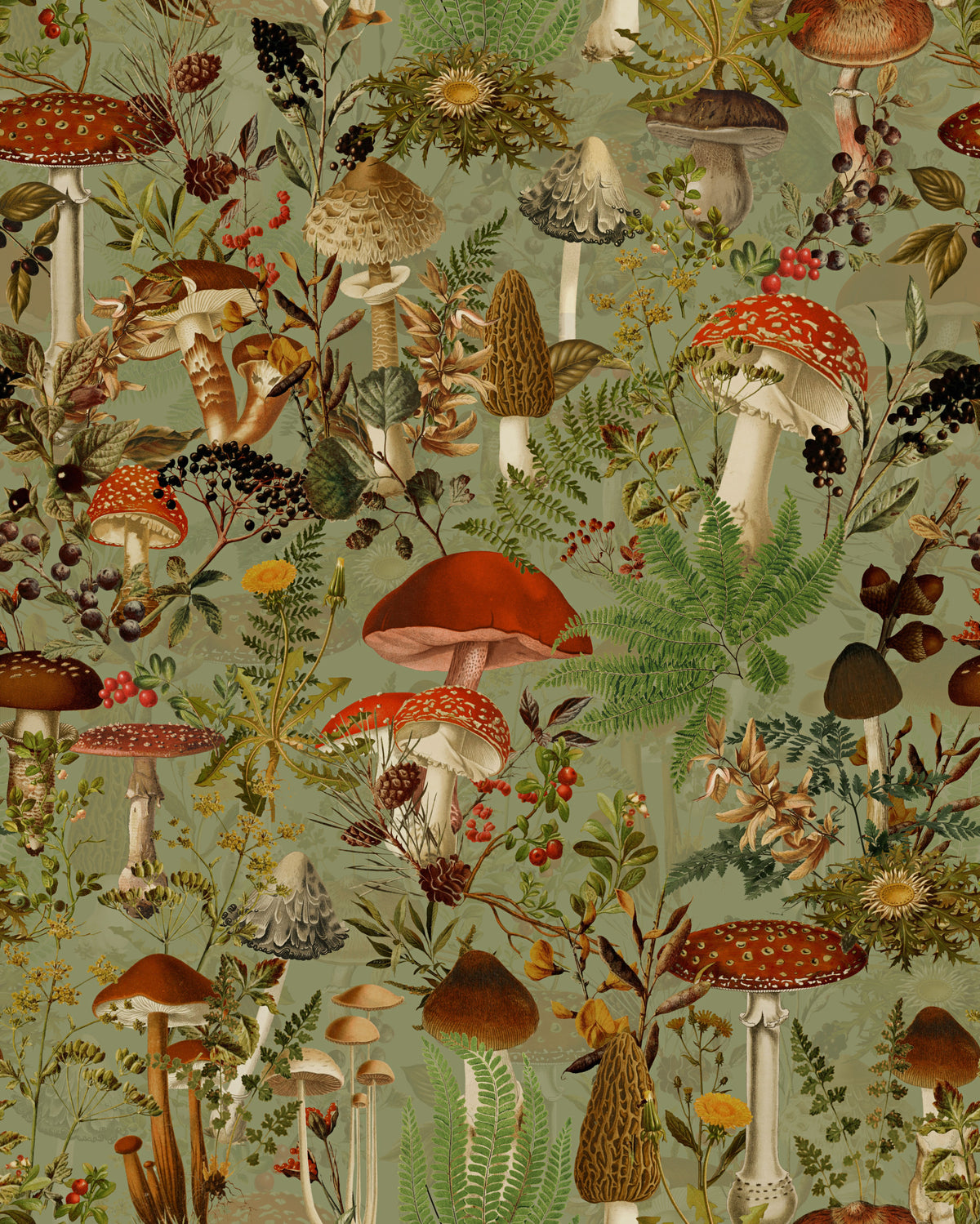 Vintage Woodland Mushroom and Fern Forage Wallpaper⁠ in your room — zoomed