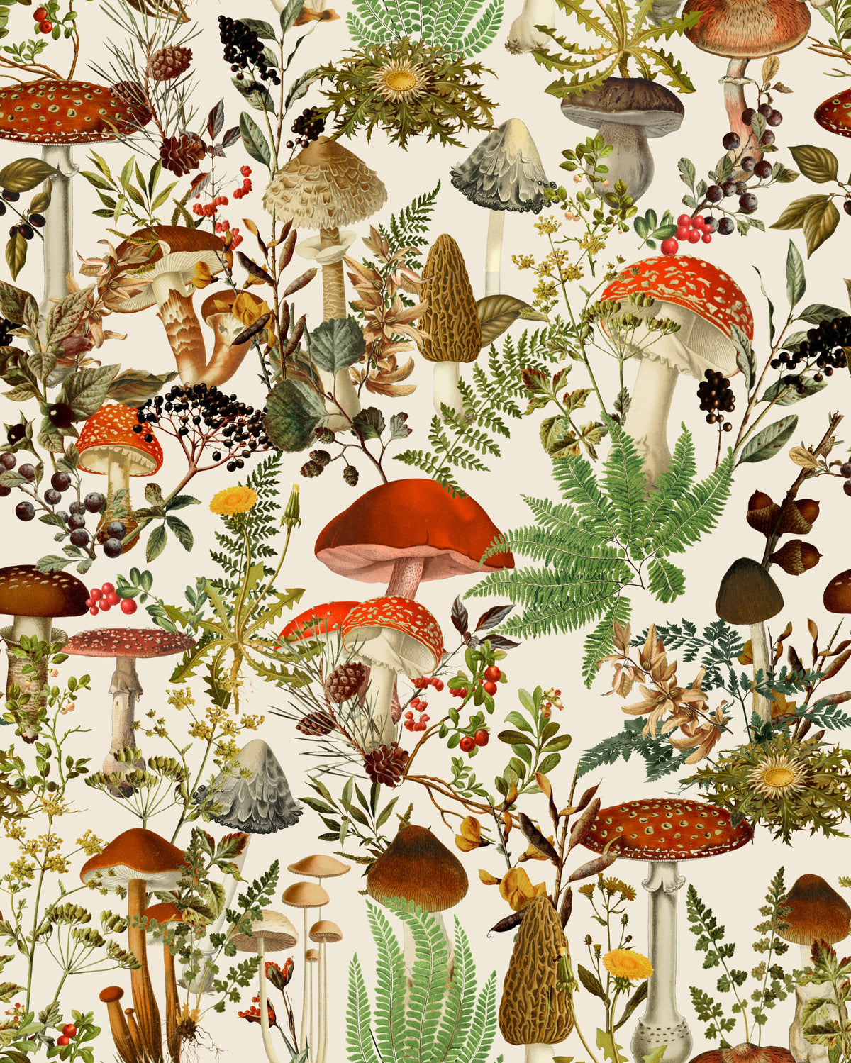 Rustic Toadstool and Woodland Meadow Flora Wallpaper⁠ in your room — zoomed