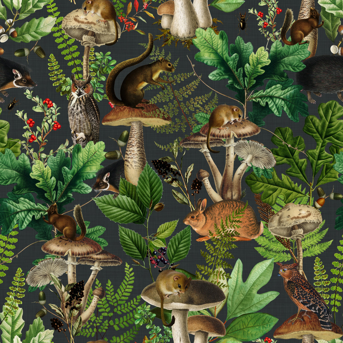 Vintage Forest Creatures and Fungi Wallpaper⁠