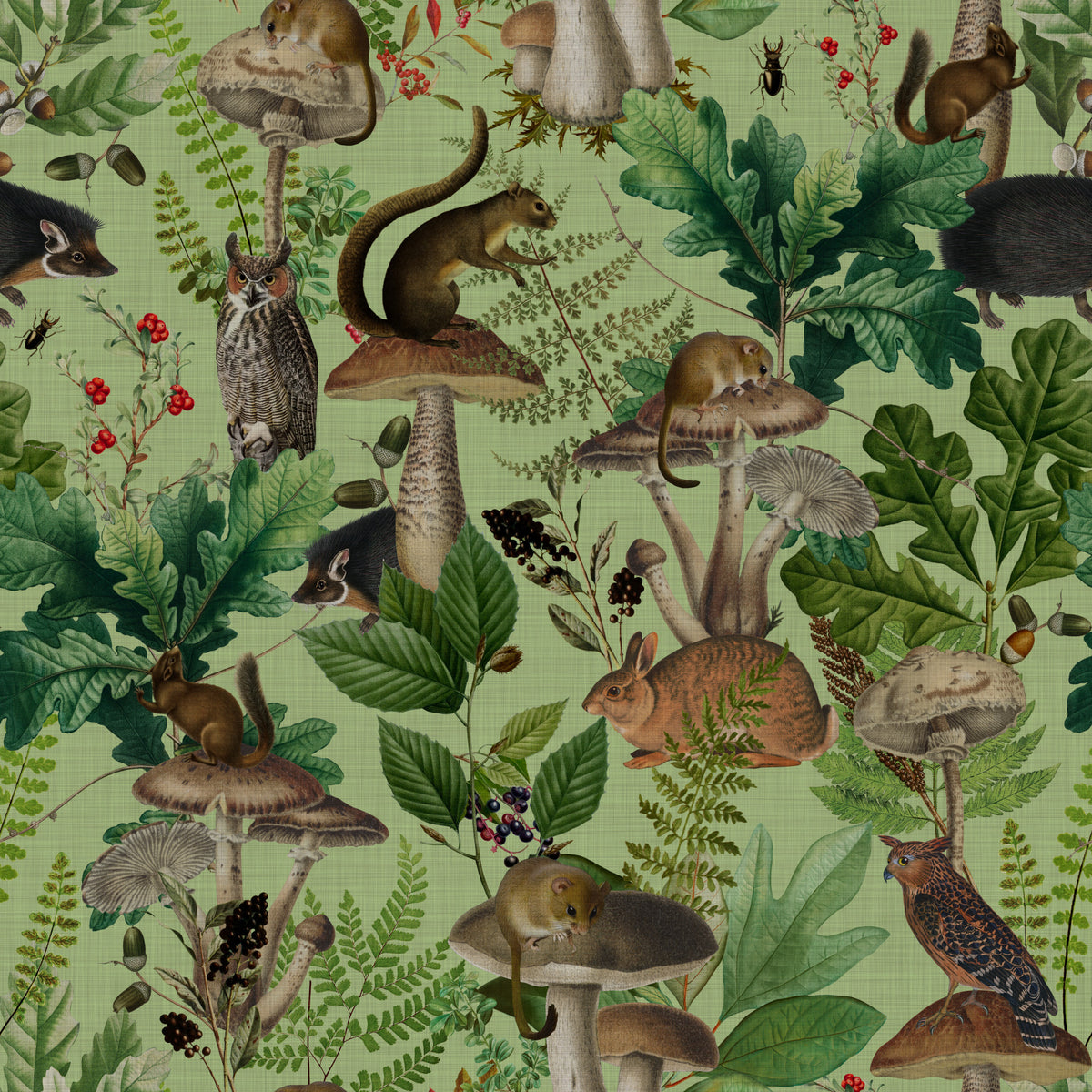 Botanical Woodland Mushroom Grove Wallpaper⁠ in your room — zoomed