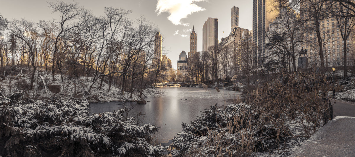 Frozen Urban Sanctuary Wall Mural in your room — zoomed