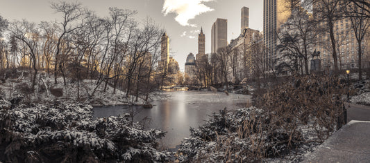 Frozen Urban Sanctuary Wall Mural