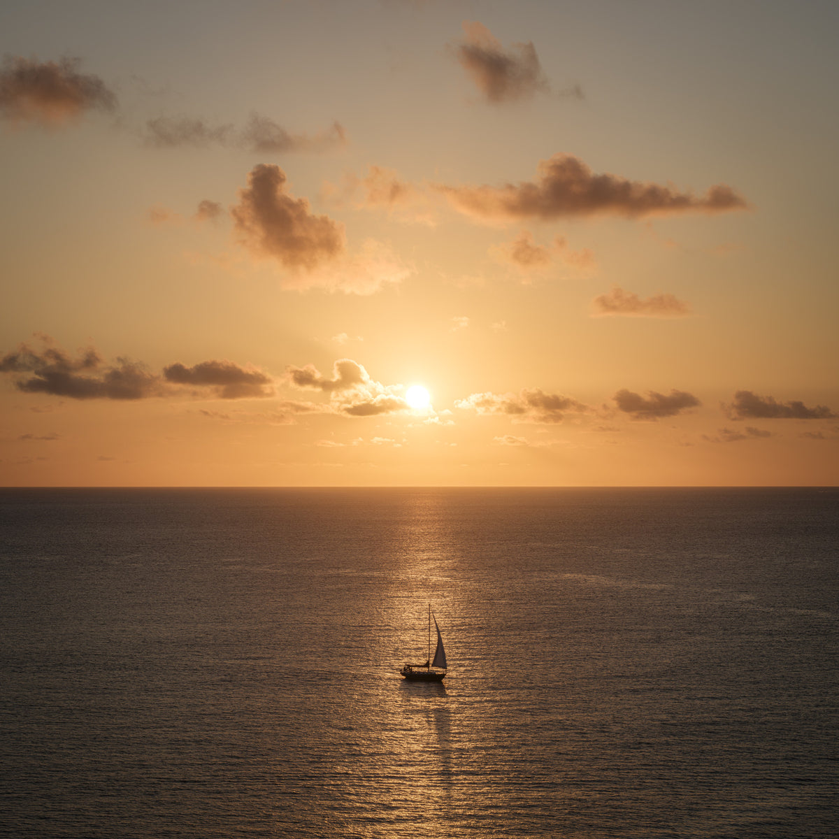 Amber Horizon Maritime View Wall Mural