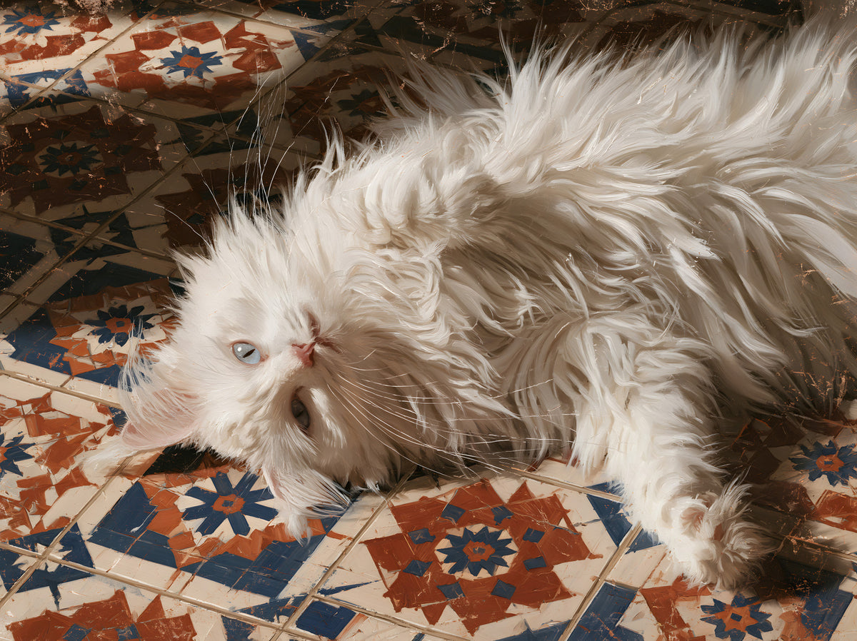 White Persian Cat on Mediterranean Tiles Wall Mural in your room — zoomed