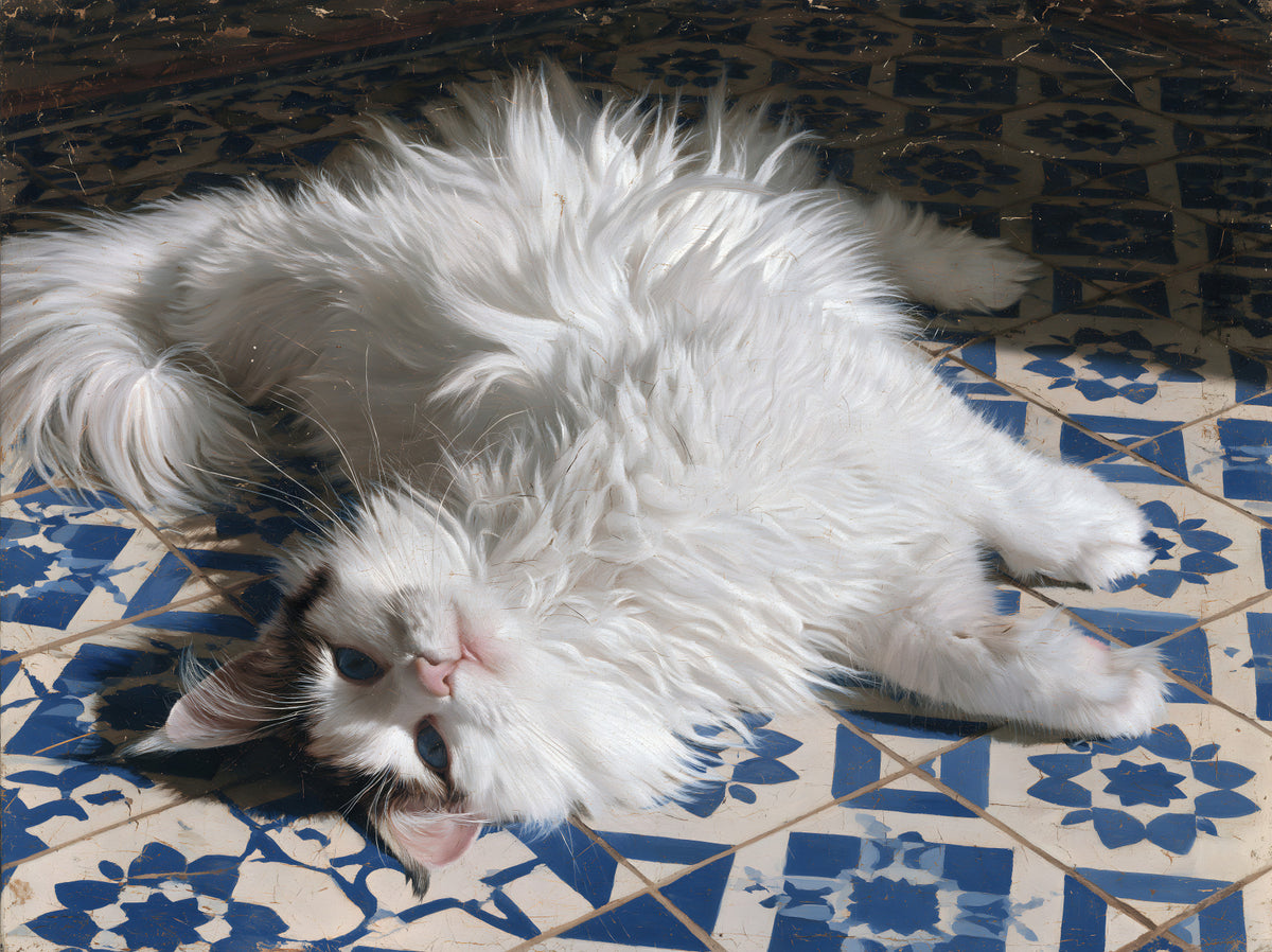 Resting Fluffy Cat on Mediterranean Tiles Wall Mural
