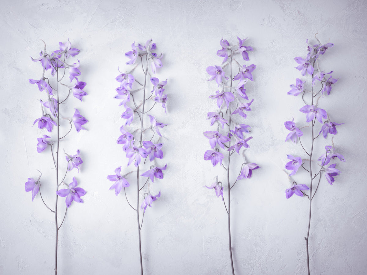 Abstract Lavender Floral Stems Wall Mural in your room — zoomed