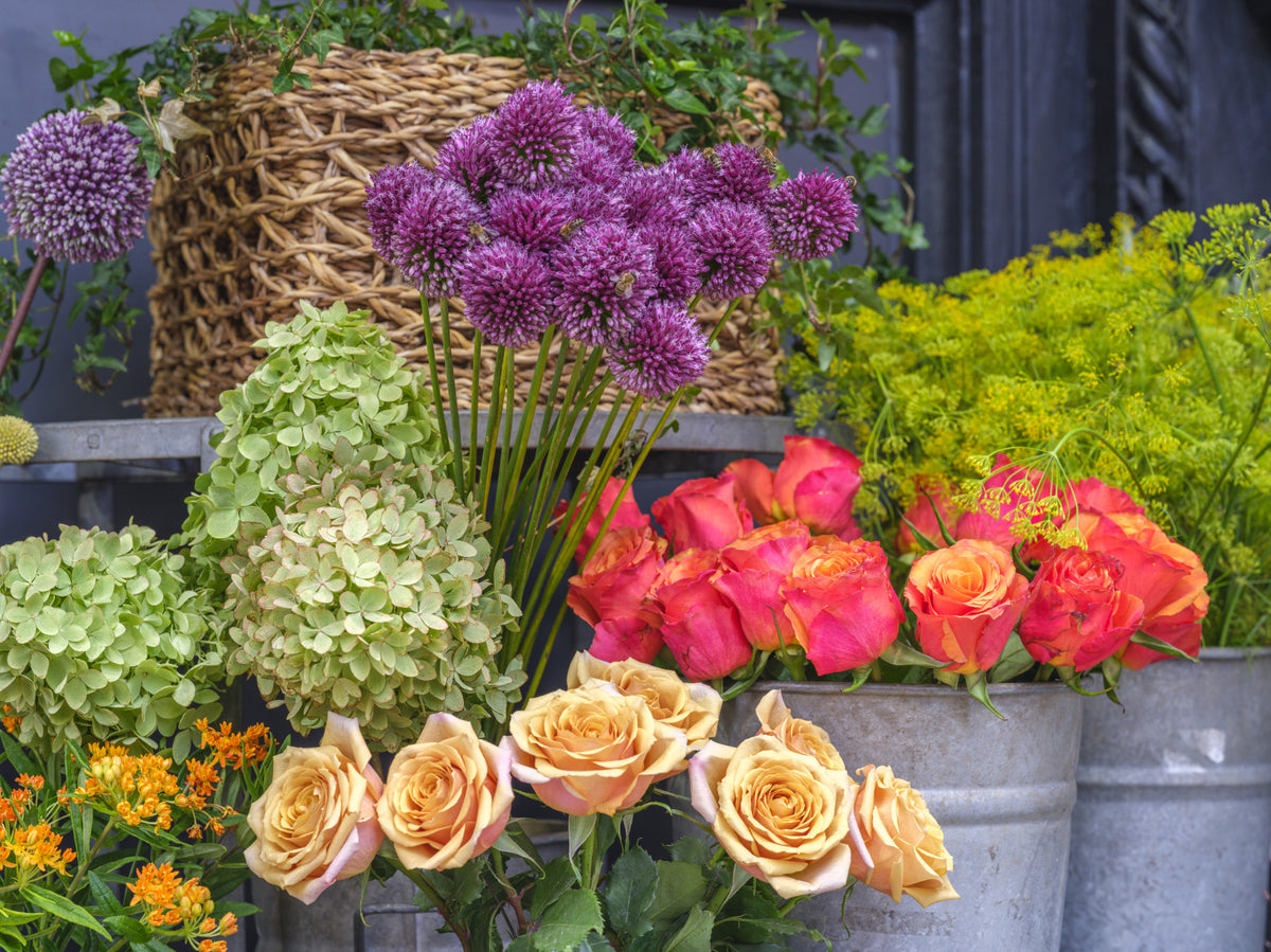 Seasonal Garden Bloom Collection Wall Mural in your room — zoomed