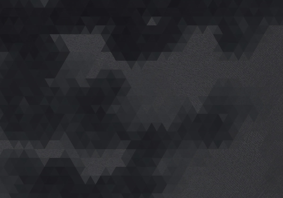 Charcoal Abstract Geometric Shards Wall Mural in your room — zoomed