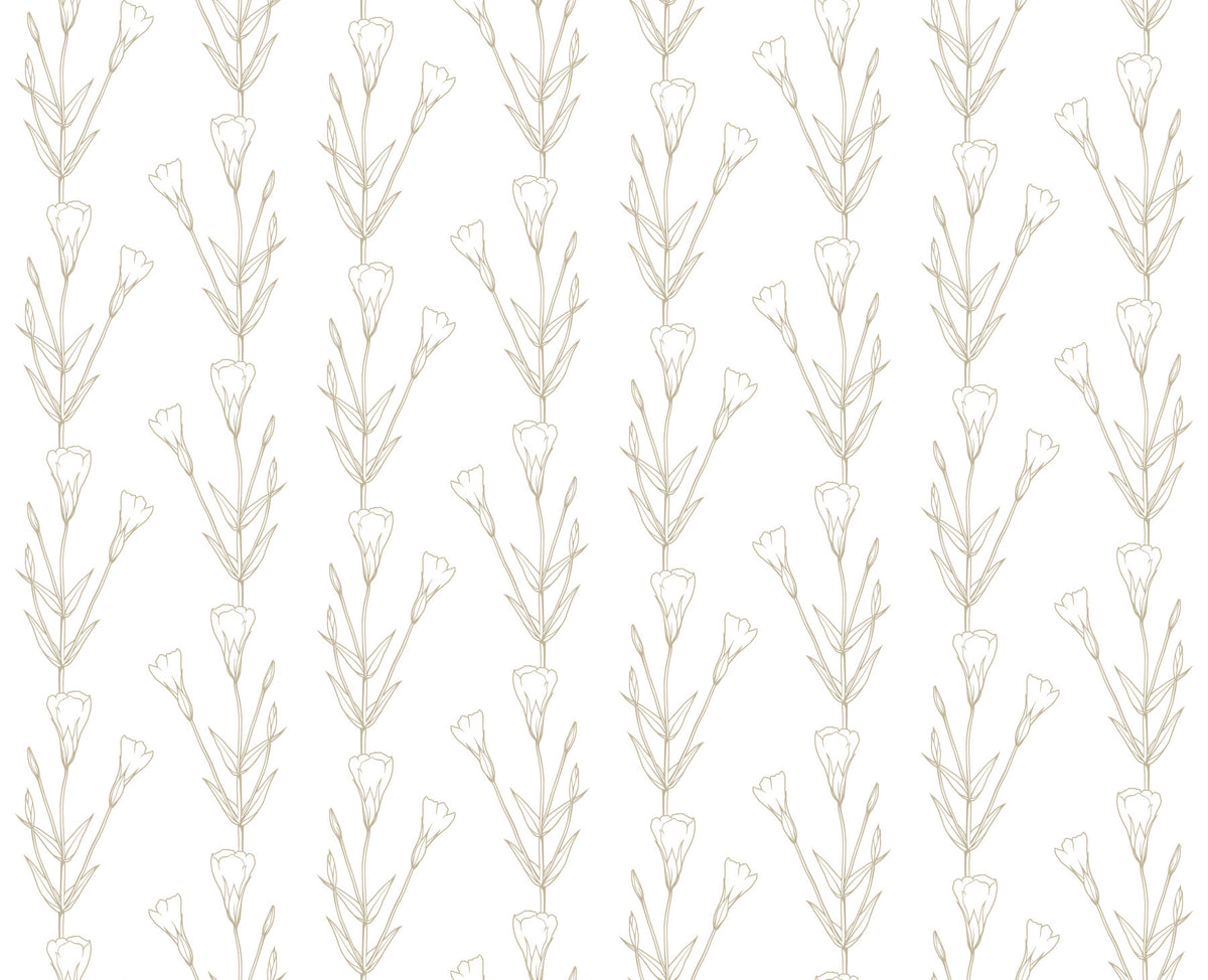 Minimalist Botanical Line Sketch Wallpaper⁠