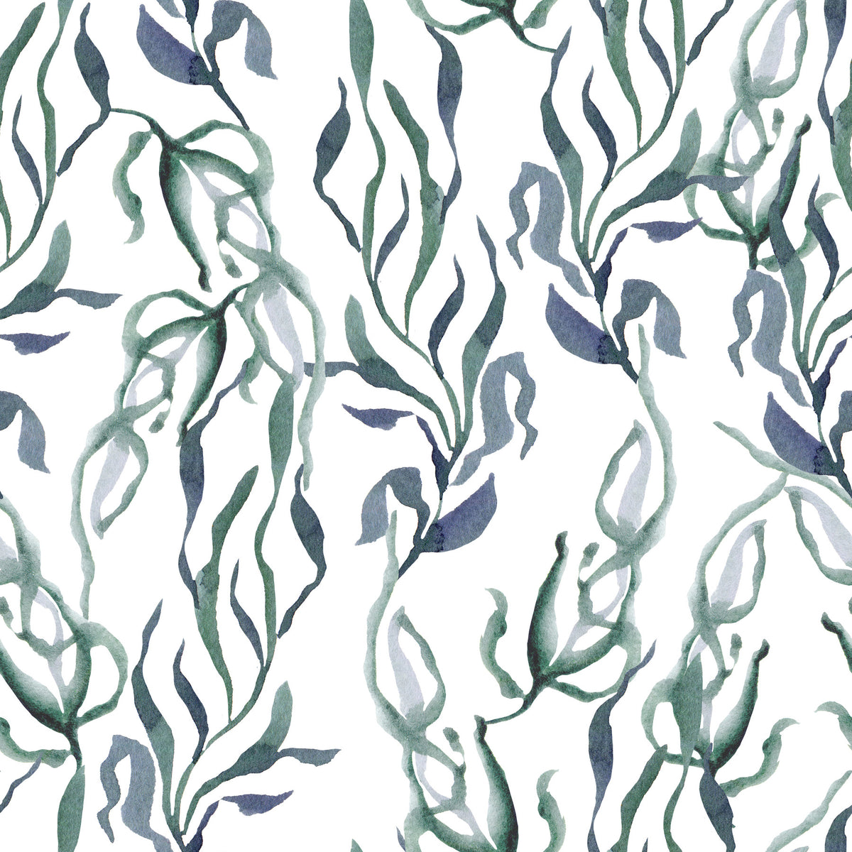 Watercolor Seaweed Silhouette Wallpaper⁠