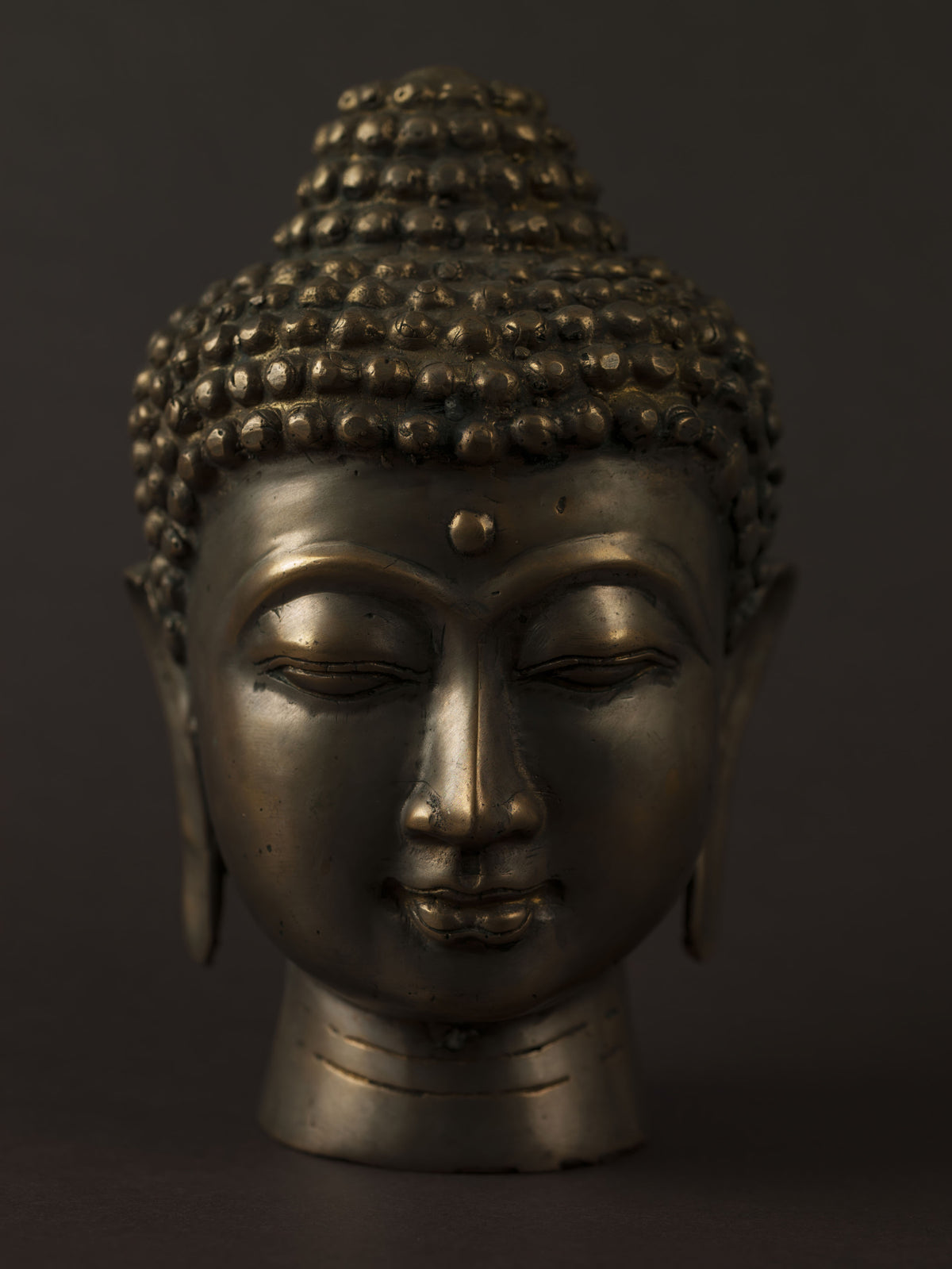 Minimalist Bronze Enlightenment Wall Mural