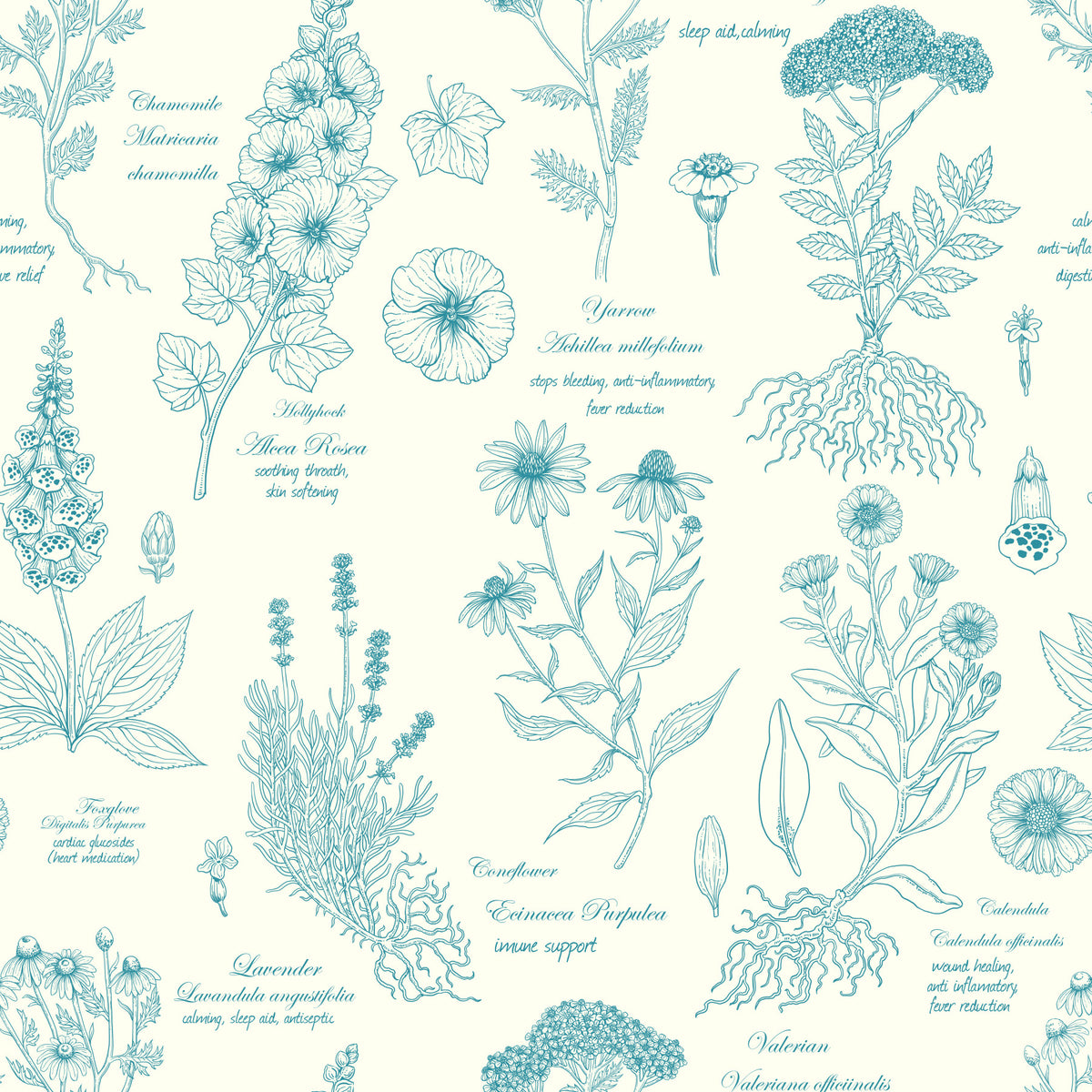 Botanical Sketch Herbarium Illustration Wallpaper⁠ in your room — zoomed