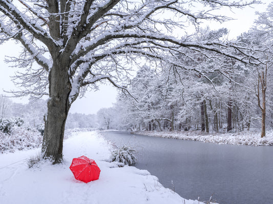 Frozen Canal Winter Woodland Wall Mural