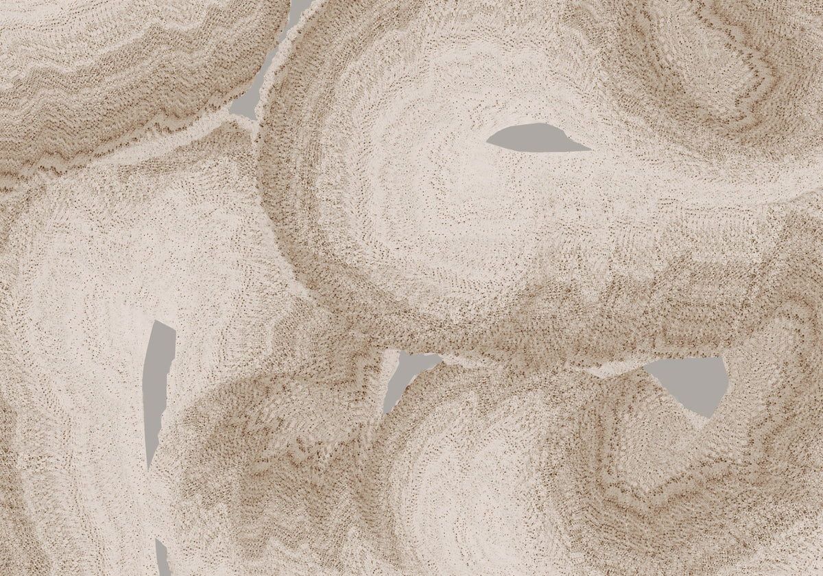 Organic Earth Tones Abstract Wall Mural