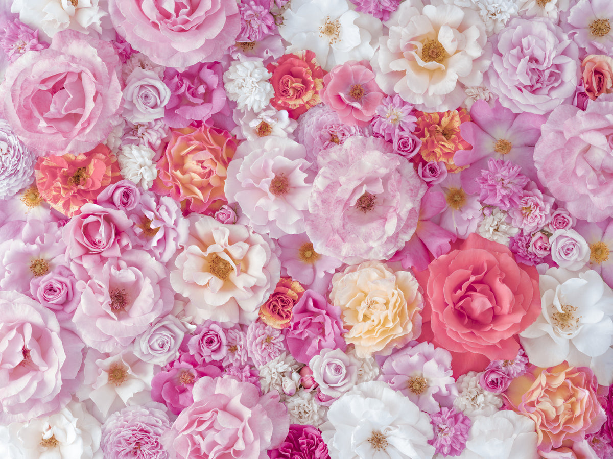 Petal Abundance Botanical Mosaic Wall Mural