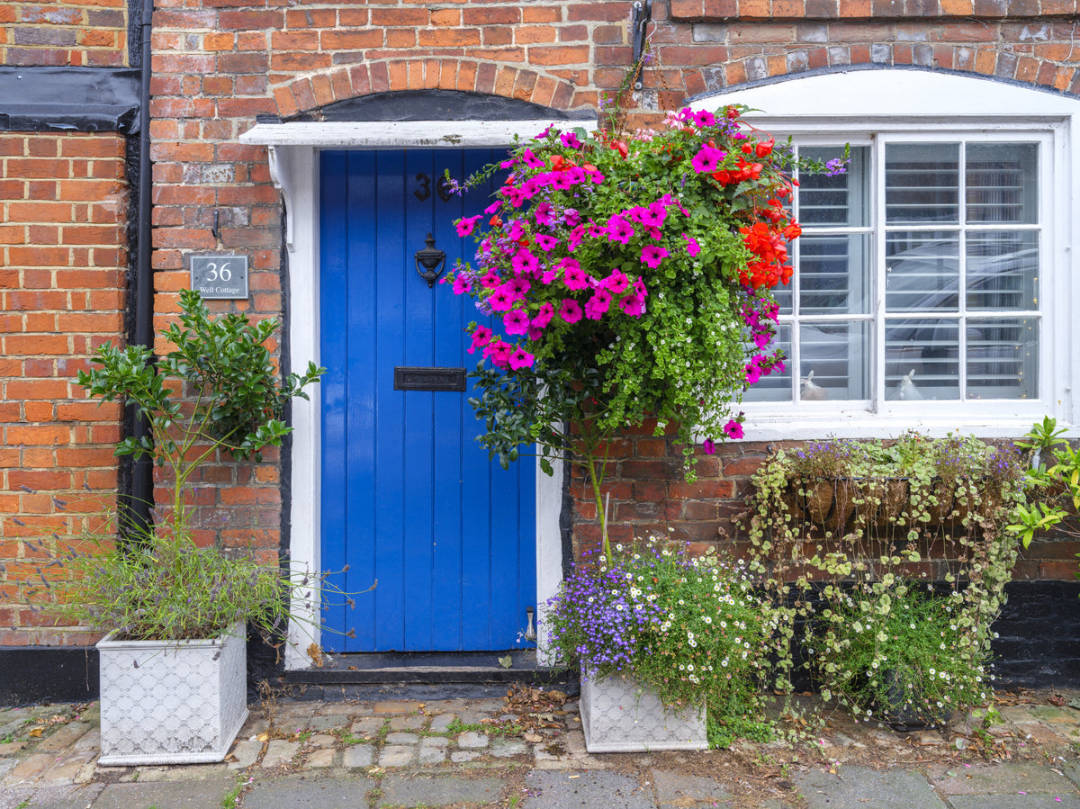Rustic Floral Cottage Entryway Wall Mural in your room — zoomed