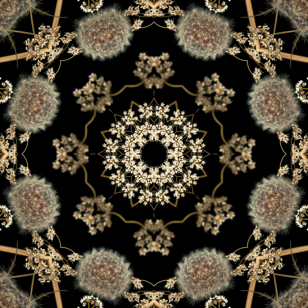 Midnight Meadow Radial Flora Wallpaper⁠