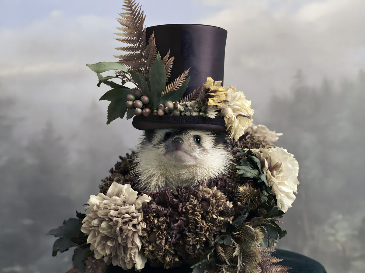 Hedgehog in Botanical Top Hat Wall Mural