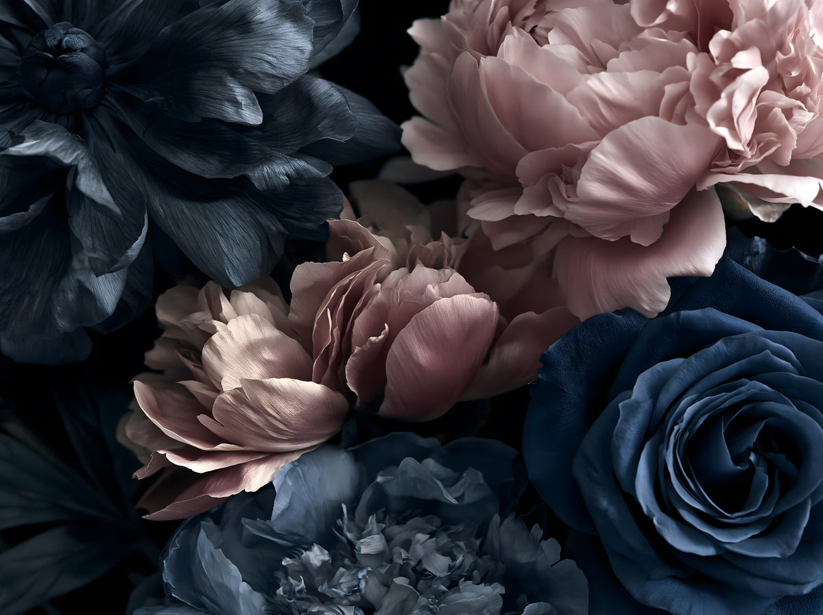 Midnight Peony and Rose Bloom Wall Mural
