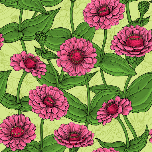 Garden Zinnia Botanical Illustration Wallpaper⁠