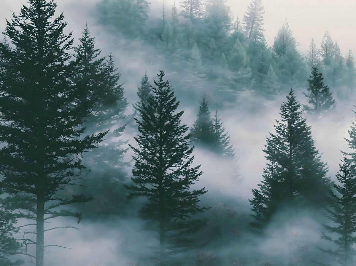 Misty Alpine Forest Serenity Wall Mural in your room — zoomed