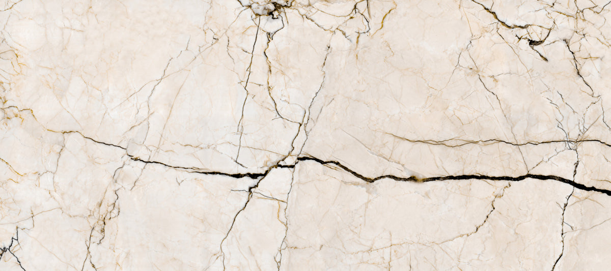 Cream and Charcoal Vein Marble Wall Mural