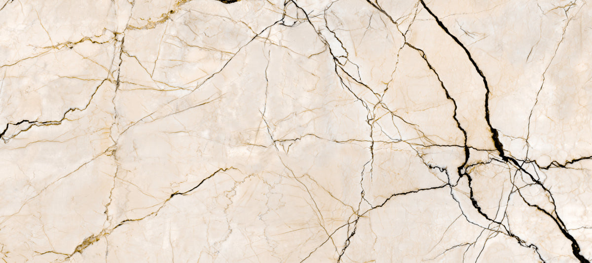 Cream and Black Marble Vein Wall Mural