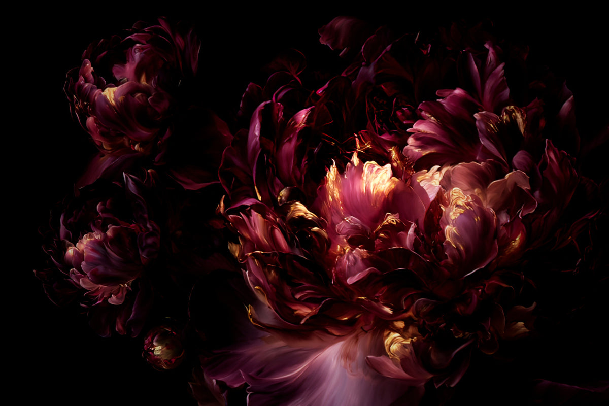 Midnight Crimson Bloom Wall Mural in your room — zoomed