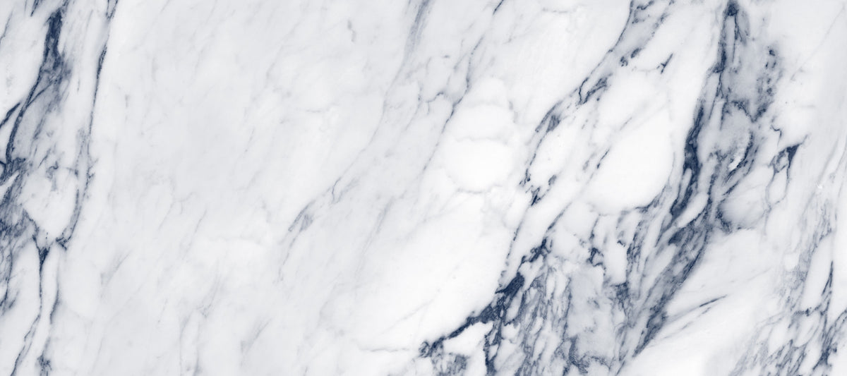 Classic Blue and White Marble Veining Wall Mural