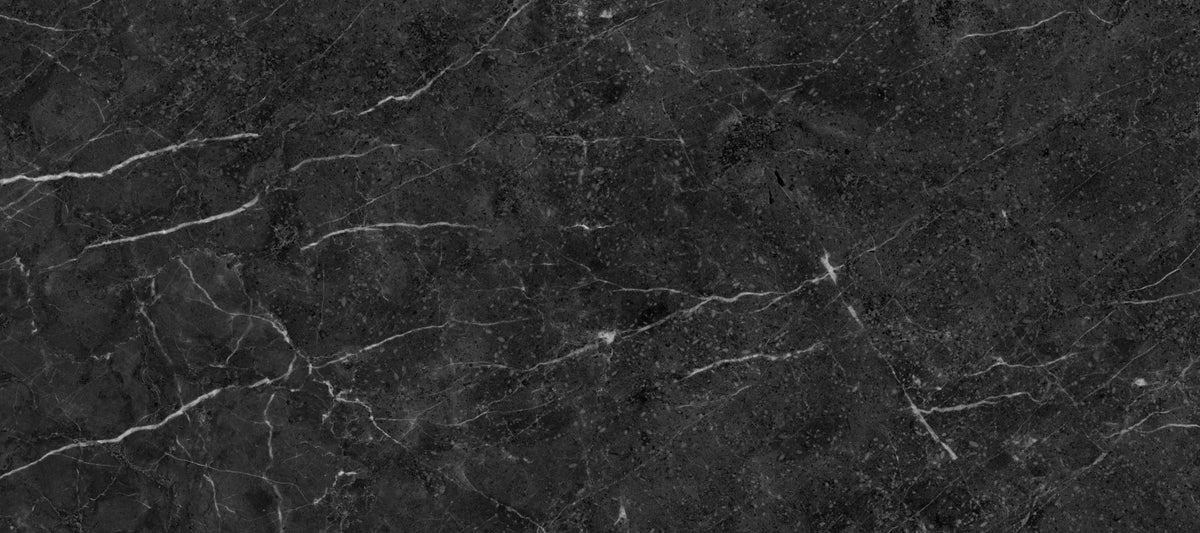 Dark Charcoal Veined Stone Texture Wall Mural