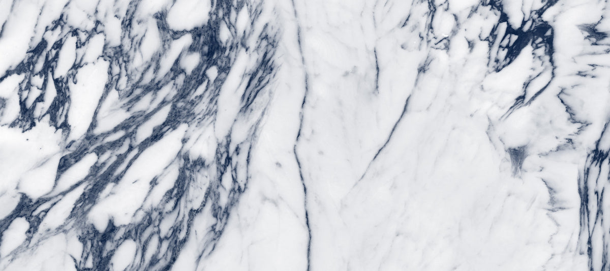 Classic Navy and White Marble Veins Wall Mural