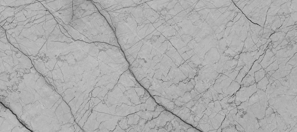 Monochromatic Grey Veined Stone Wall Mural