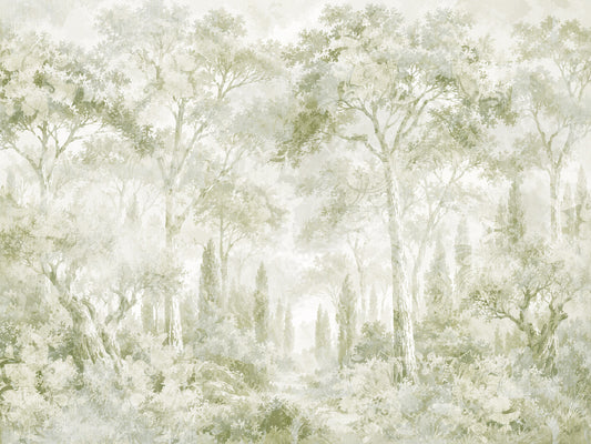 Eucalyptus Green Tuscan Forest Path Wall Mural Wall Mural