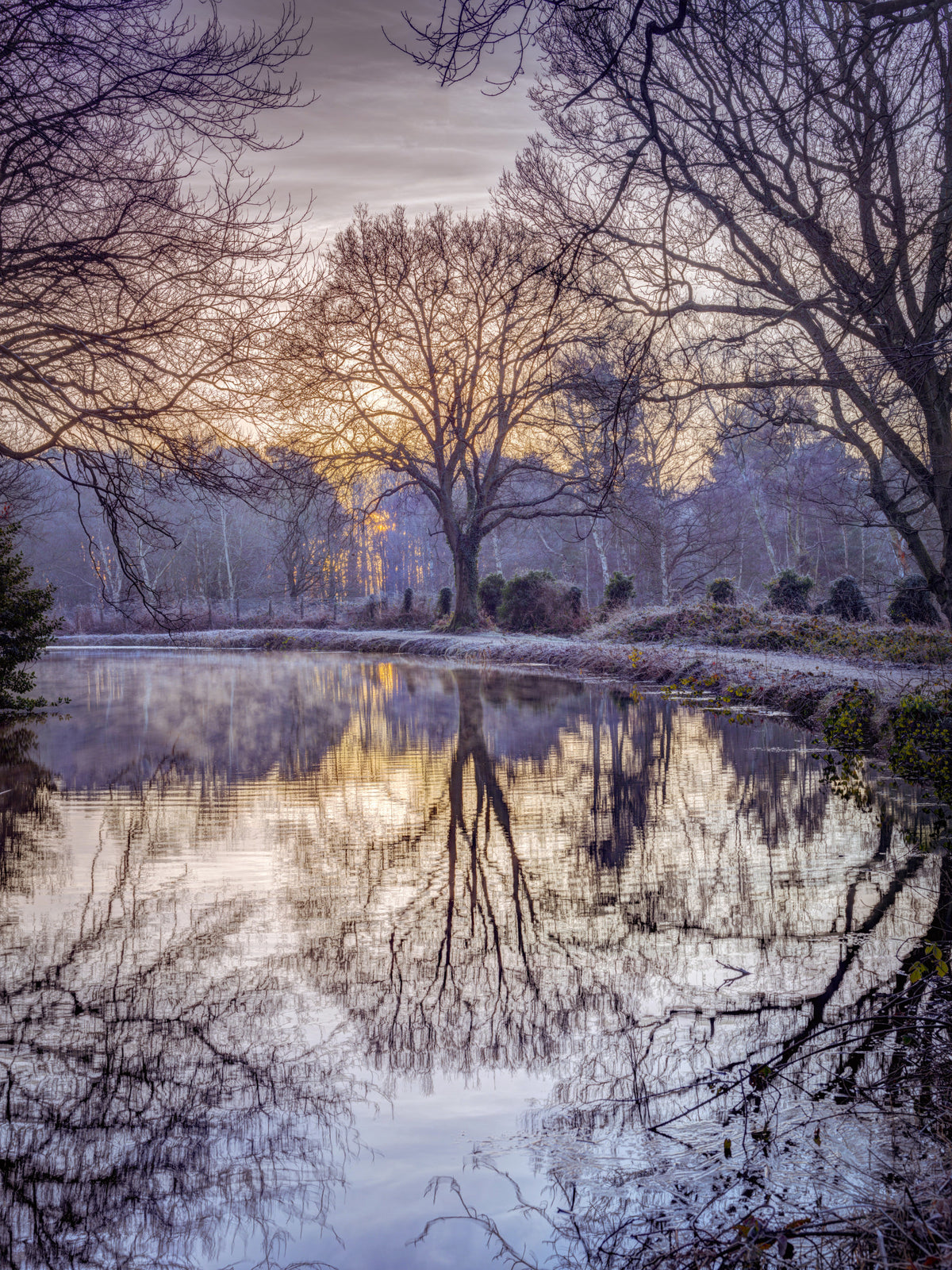 Golden Sunset Reflected in Still Woodland Waters Wall Mural in your room — zoomed
