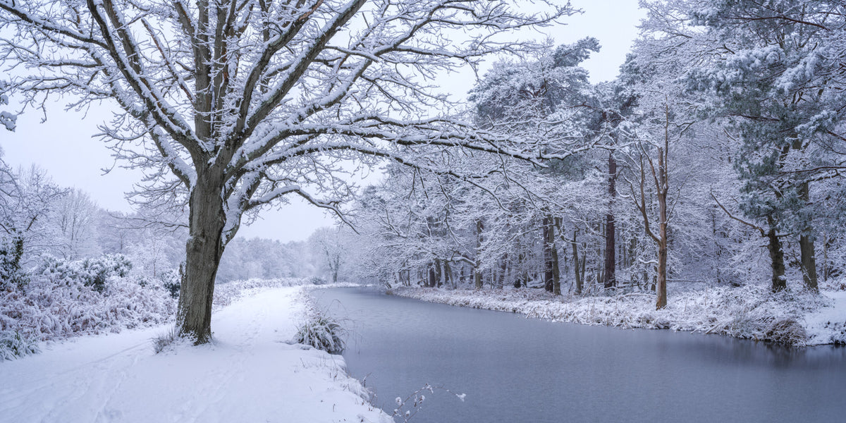 Snowy River Path Wall Mural