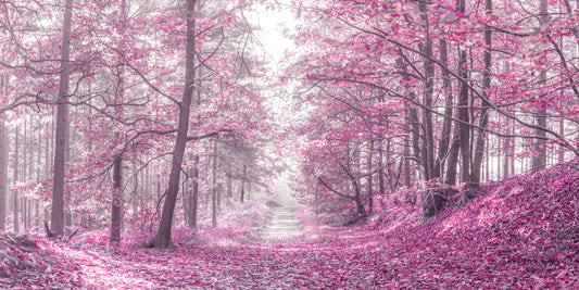 Magenta Woodland Pathway Wall Mural