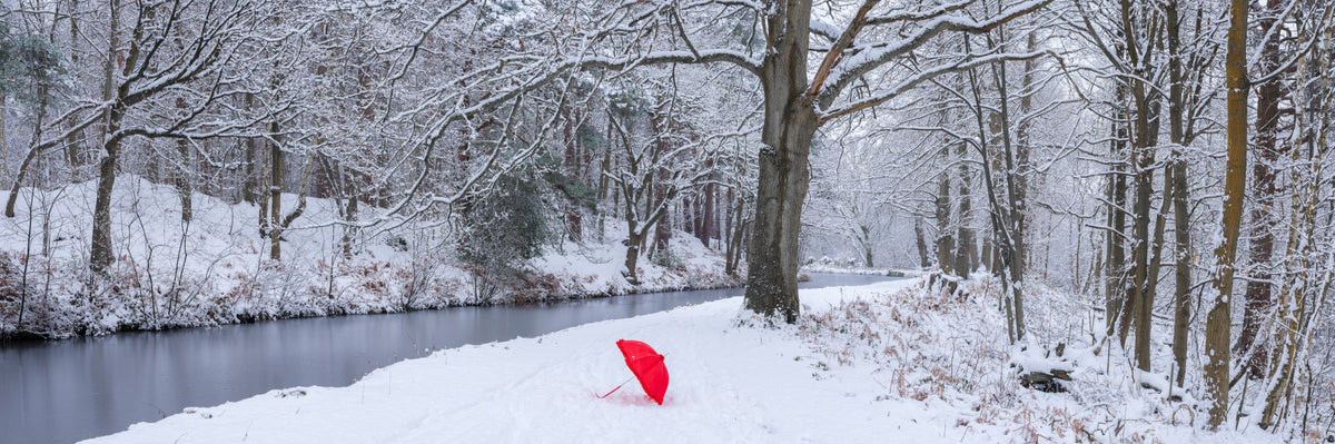 Frozen Creek and Red Umbrella Wall Mural in your room — zoomed