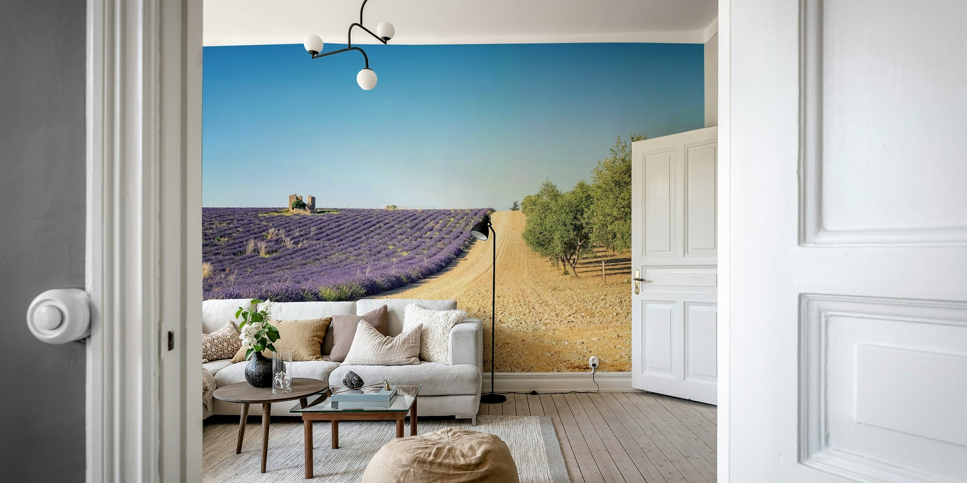 Olive trees beside wallpaper for walls

