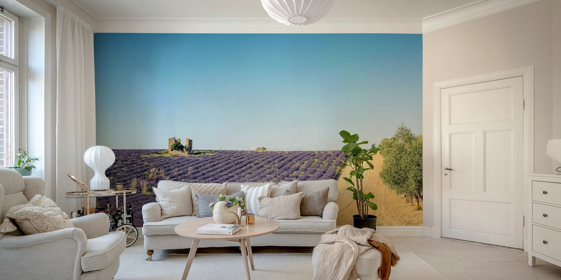 Olive field view wallpaper for walls

