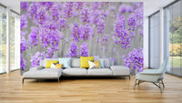 The wallpaper is used as a feature wall in a bedroom.

