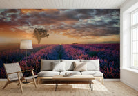 Lavender Dawn Wall Mural