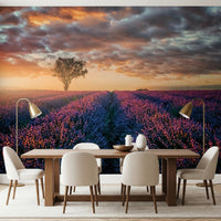 Lavender Dawn Wall Mural