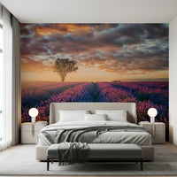 Lavender Dawn Wall Mural
