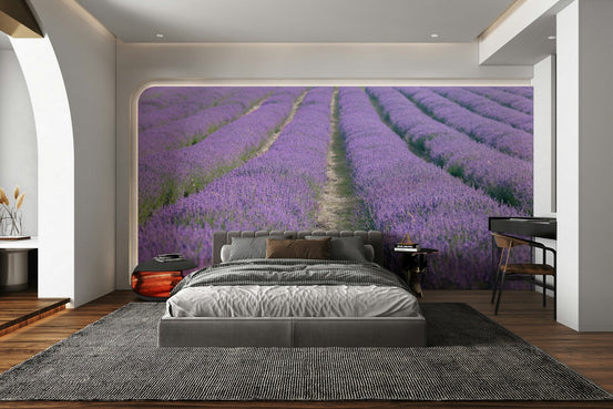 Lavender Dreams Wall Mural featuring a peaceful lavender field, GD2321