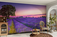 Soft lavender field mural in warm golden light at dusk.

