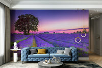 Sunset lavender field wall mural perfect for cozy spaces.

